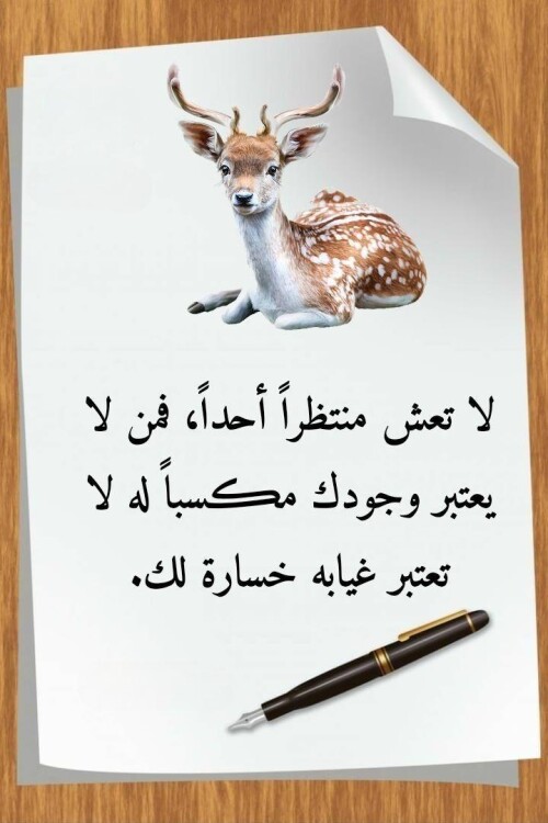 608246818 1467884125339246 4506387963838476099 n ٢٠٢٦ ٠٧ ١٠ ١١ ٤٣ ٤٩