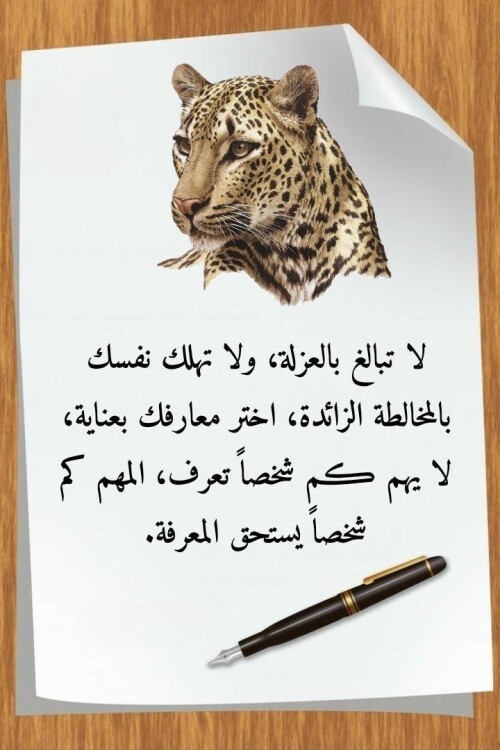 608469298 1467936262000699 226334593899953351 n ٢٠٢٦ ٠٧ ١٣ ٢٠ ٠٢ ٢١