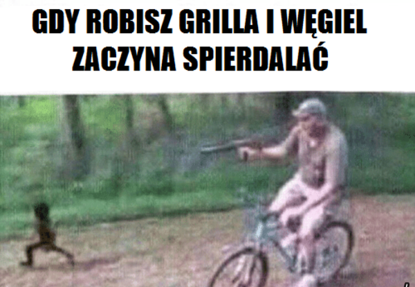 73ntv.png