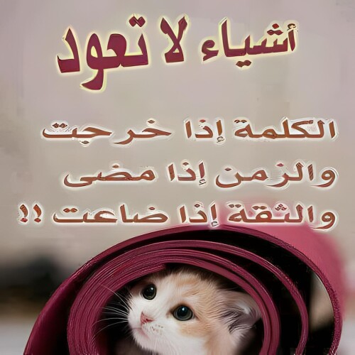 608514364 2320078425163683 6796120204352403526 n ٠٧٥٧٠٥