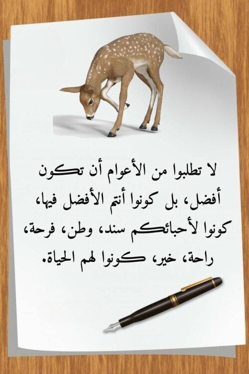 608660416 1467599595367699 813186223444961630 n ٢٠٢٦ ٠٧ ١٨ ١٩ ٥٣ ١٦