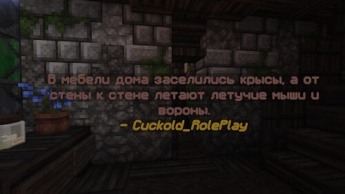 3453453435111