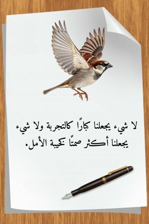 608881809 1467655105362148 5618311421044449588 n ٢٠٢٦ ٠٧ ٢٣ ١٨ ٤٤ ١٧
