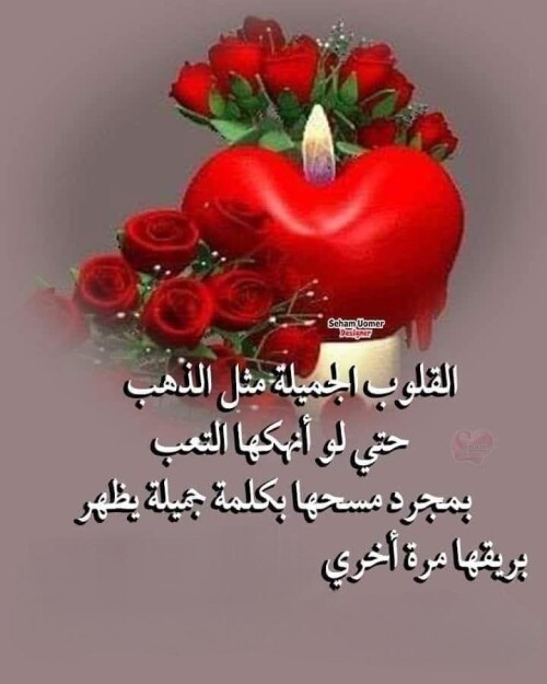 608916163 907705541583317 1493416316143950357 n ٢٠٢٦ ٠٧ ٢٥ ٢٣ ١٣ ٤٢