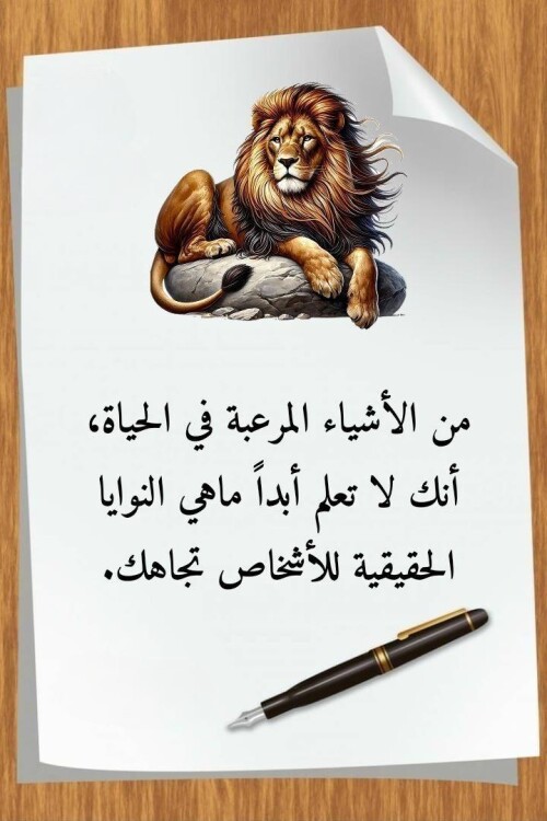 608916230 1471709178290074 3835070052332079600 n ٢٠٢٦ ٠٧ ٢٧ ٢٣ ٢٥ ١٦