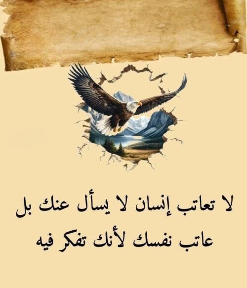 522735323 1245166054287307 2298980294789370508 n ٢٠٢٦ ٠٧ ٢٩ ٢٣ ٤٤ ٣٠