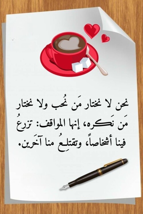 608961070 1472107784916880 4775082712437664756 n ٢٠٢٦ ٠٨ ٠٢ ٠٠ ٢٩ ١٤