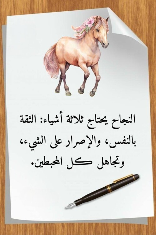 608971335 1469395188521473 6019505422975250885 n ٢٠٢٦ ٠٨ ٠٤ ٢٠ ٢٠ ٢٩
