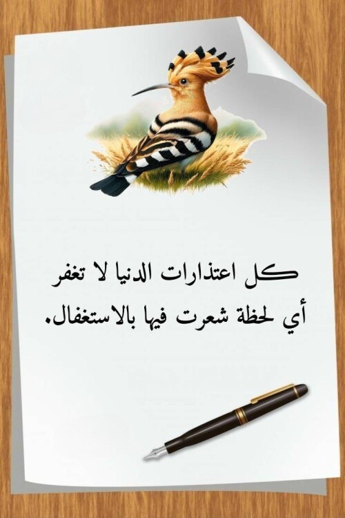 608985368 1470701481724177 4524350493470895205 n ٢٠٢٦ ٠٨ ٠٦ ٠٠ ٢٥ ١٦
