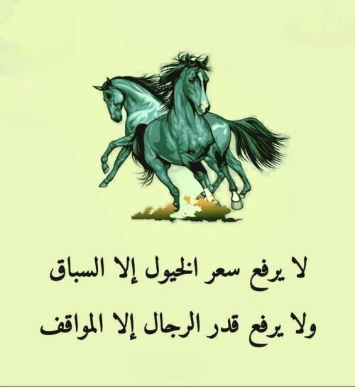 609010688 1265441485608323 2126593319437056319 n ٢٠٢٦ ٠٨ ٠٧ ٠٠ ٢٤ ١٩