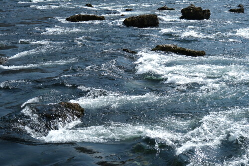 DSCF0397