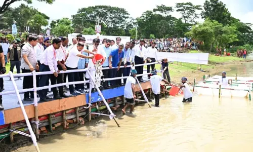 ব্রহ্মপুত্র নদে মাছের পোনা অবমুক্ত করলেন প্রধানমন্ত্রী