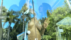 QAJgi.gif