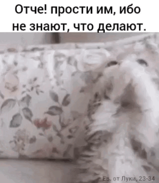 document 5316699685975520152