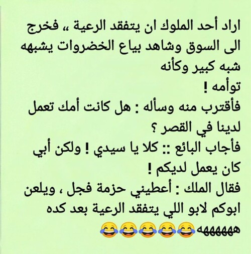٦