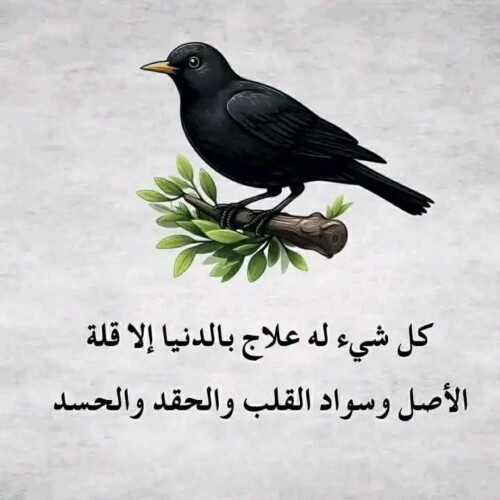 9 ٢٠٢٦ ٠٩ ٠٣ ١٦ ٢٢ ٥٥