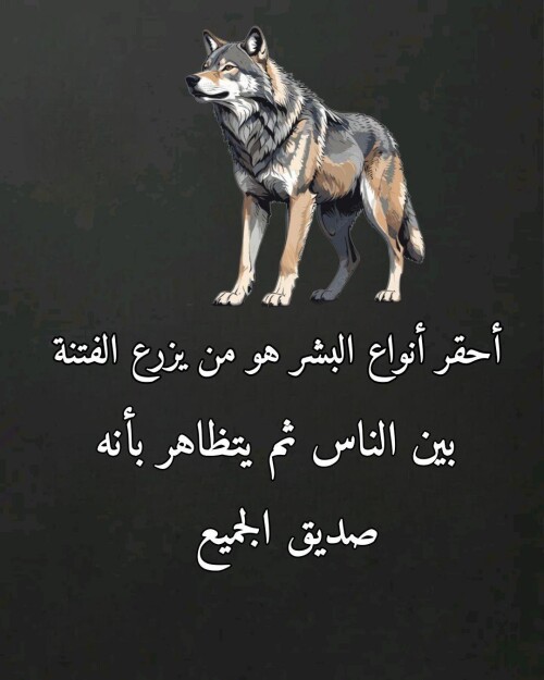 9 ٢٠٢٦ ٠٩ ٢٦ ٢٣ ٤٦ ١١